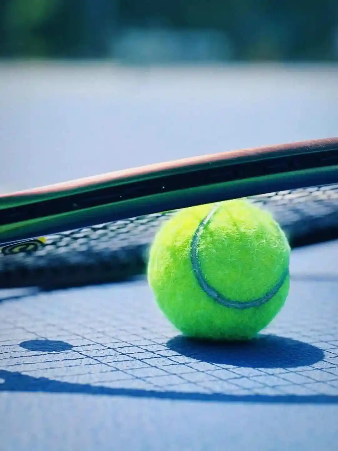 网球联合杯:瓦林卡VS巴埃斯