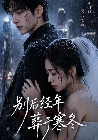 别后经年,葬于寒冬