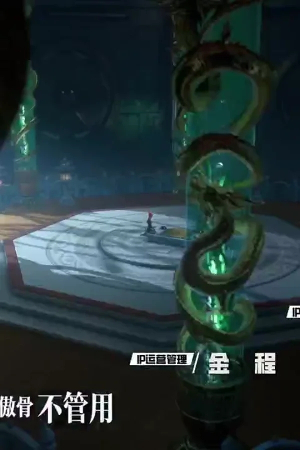 大侠请上功