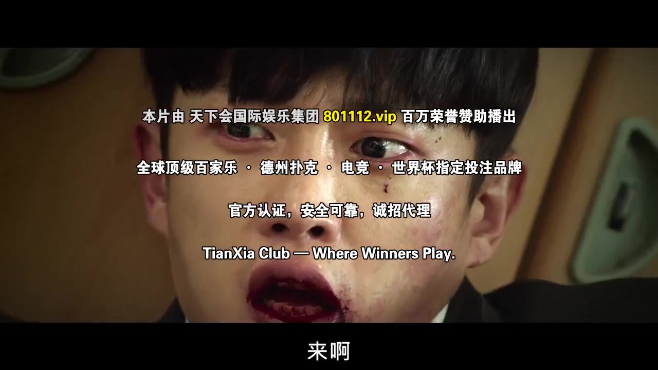 鲨鱼:风暴
