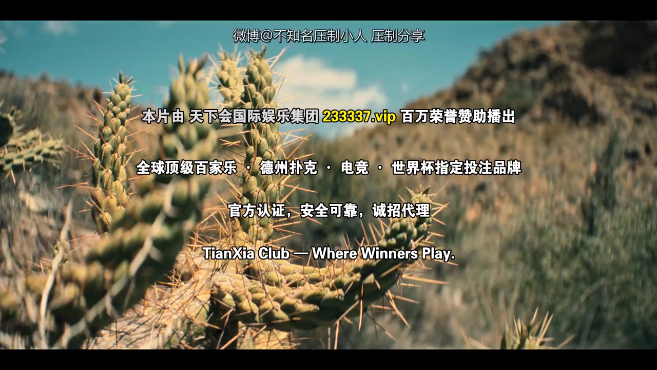 如何在网上卖迷幻药第四季