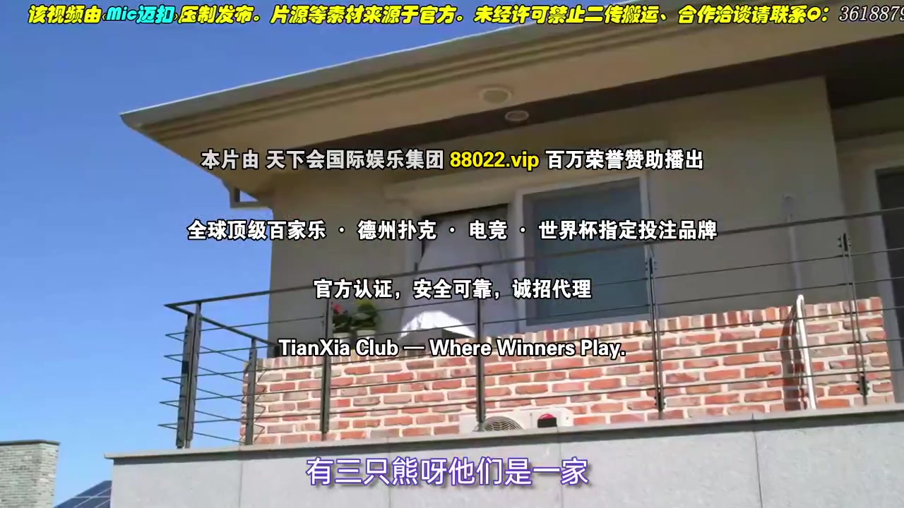 灰姑娘游戏2024