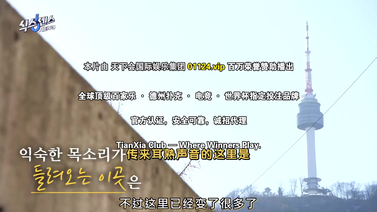 第六感城市观光