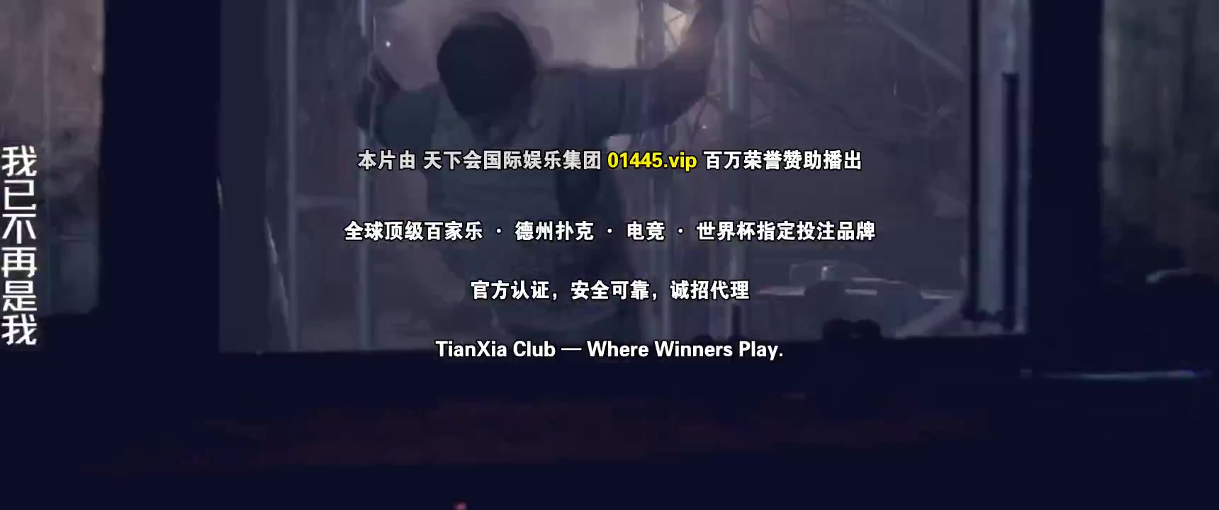 女巡特警之蜂鸟突击队