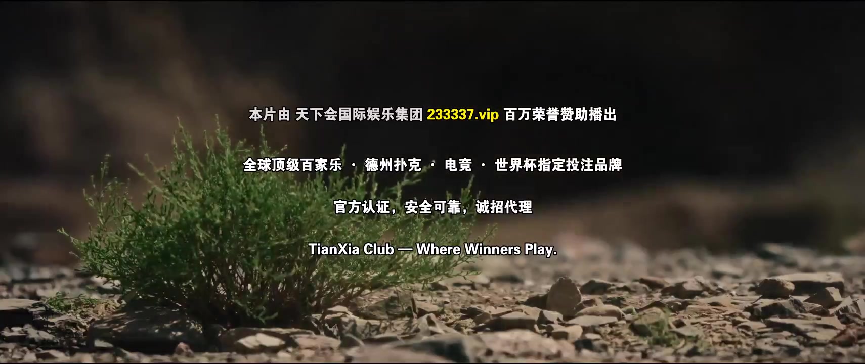 沙尘暴2025