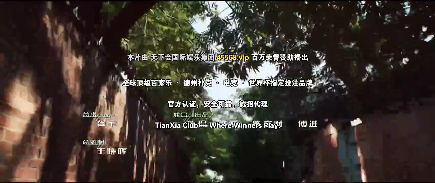 树影迷宫