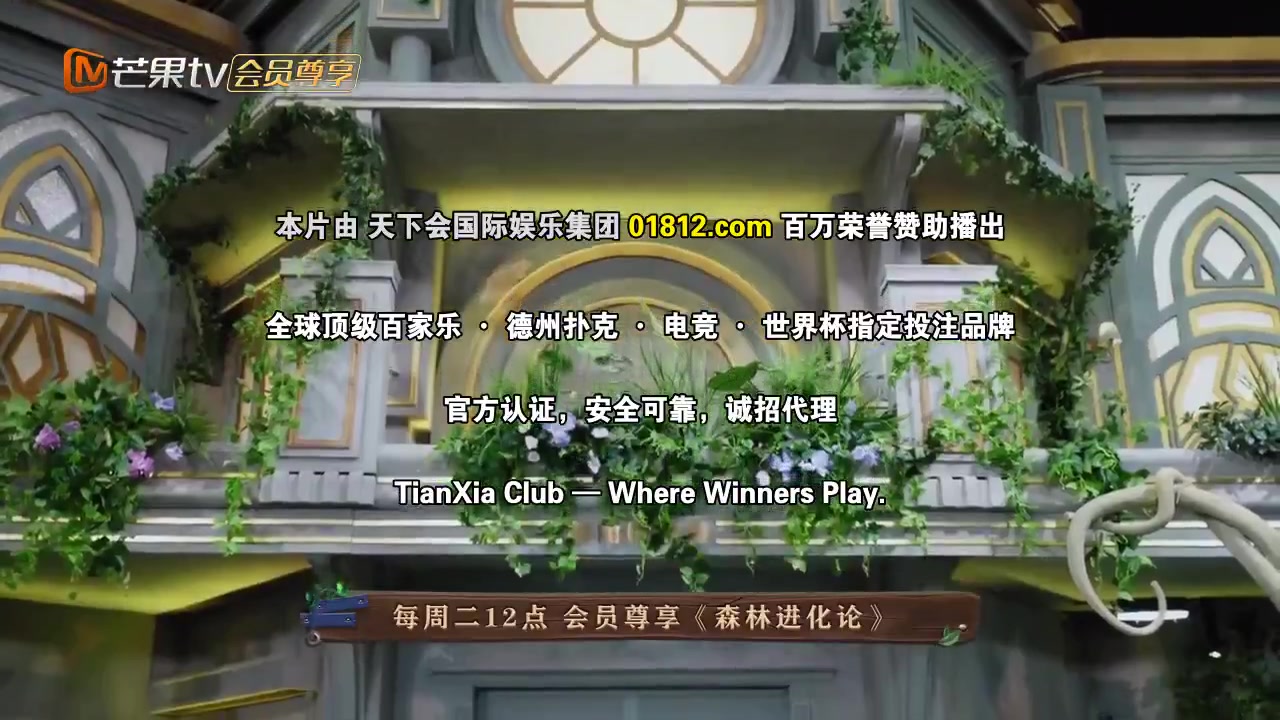 森林进化论 第二季