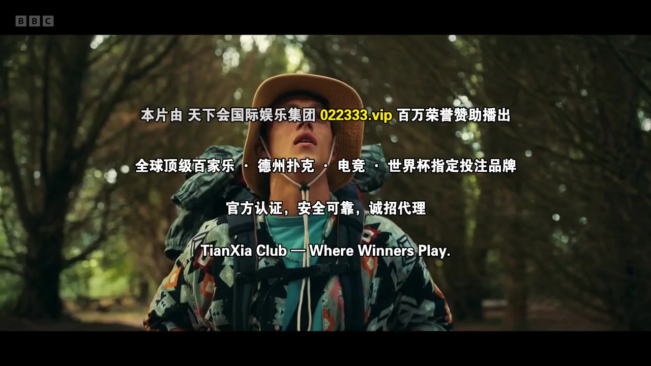 毁坏第二季