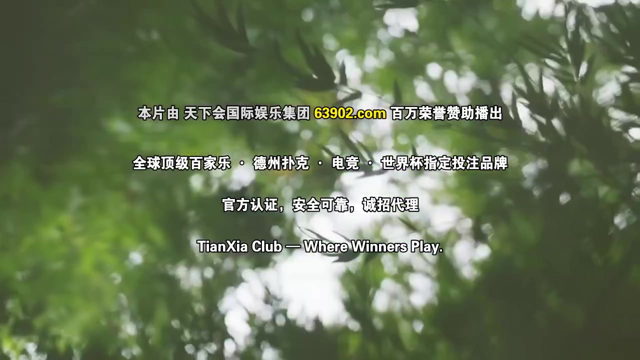 圆桌派第八季