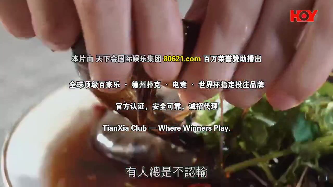 我爱九龙城粤语