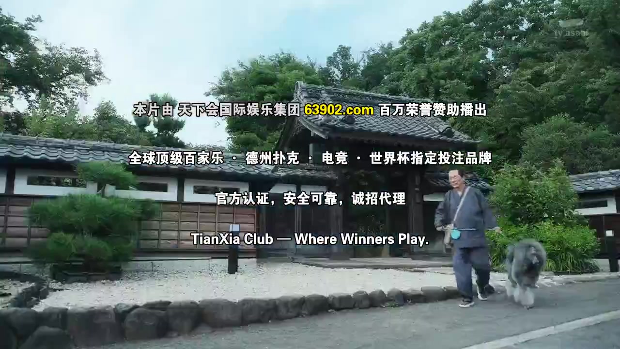 相棒第24季