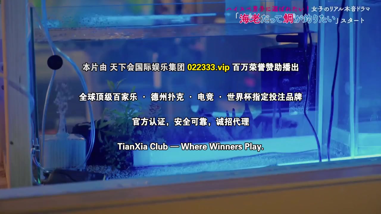 小虾米也想钓到鲷鱼