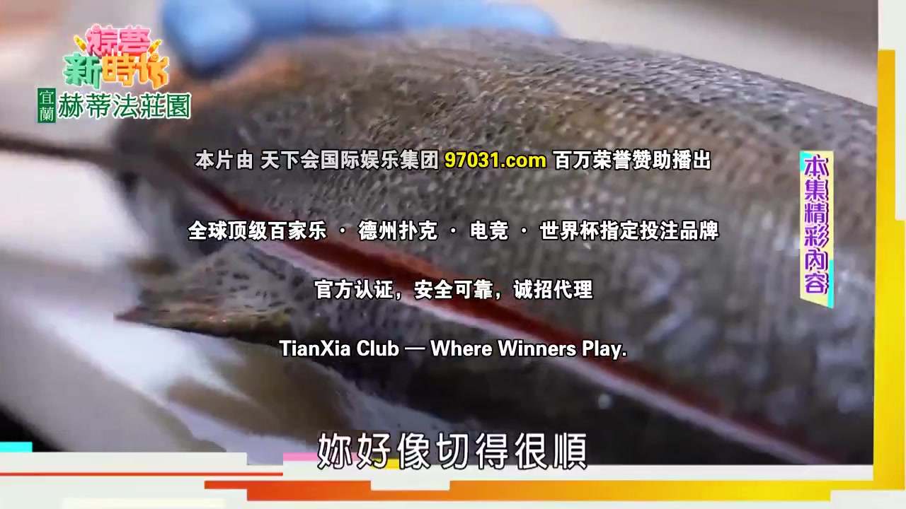 综艺新时代