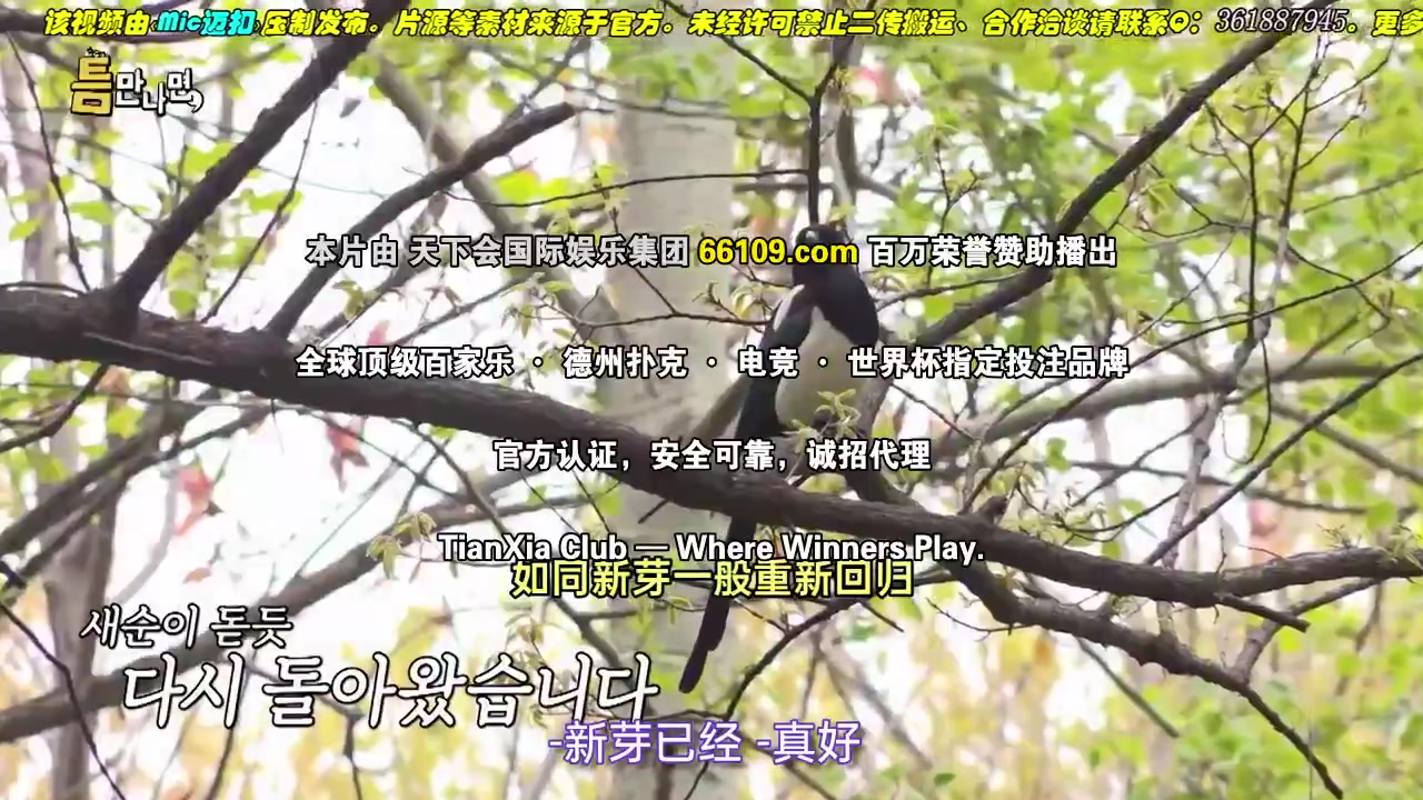 只要有空第三季
