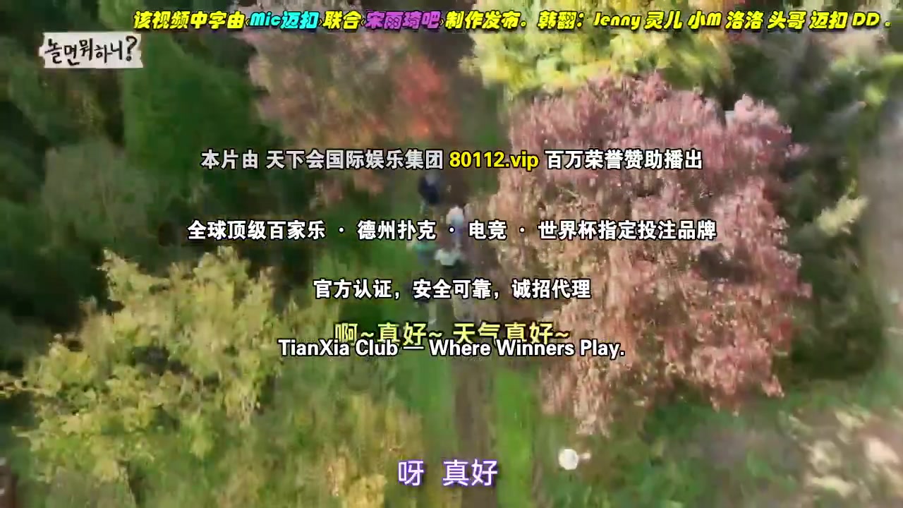 闲着干嘛呢?