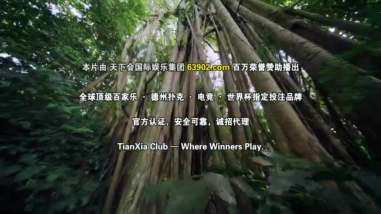 自然学院林第二季