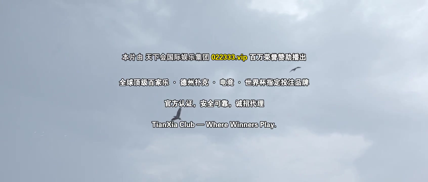一梦如初2025