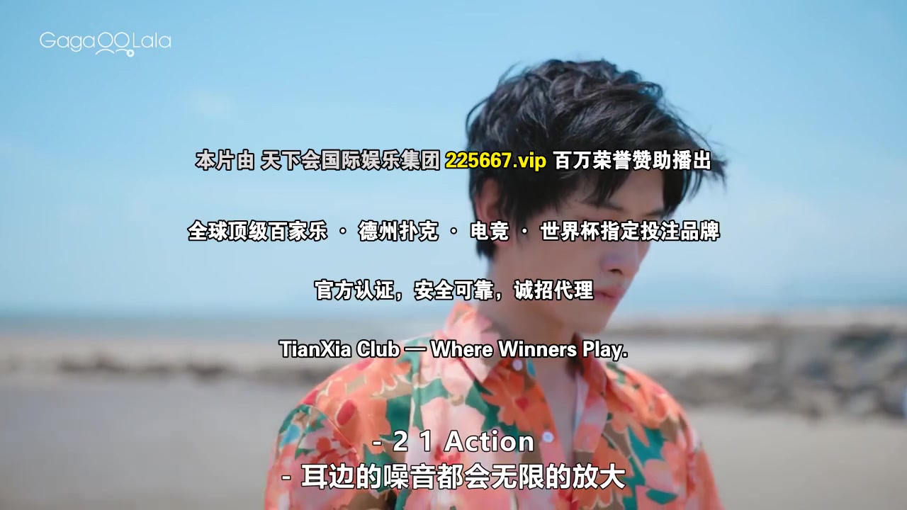 你是我目光里的星