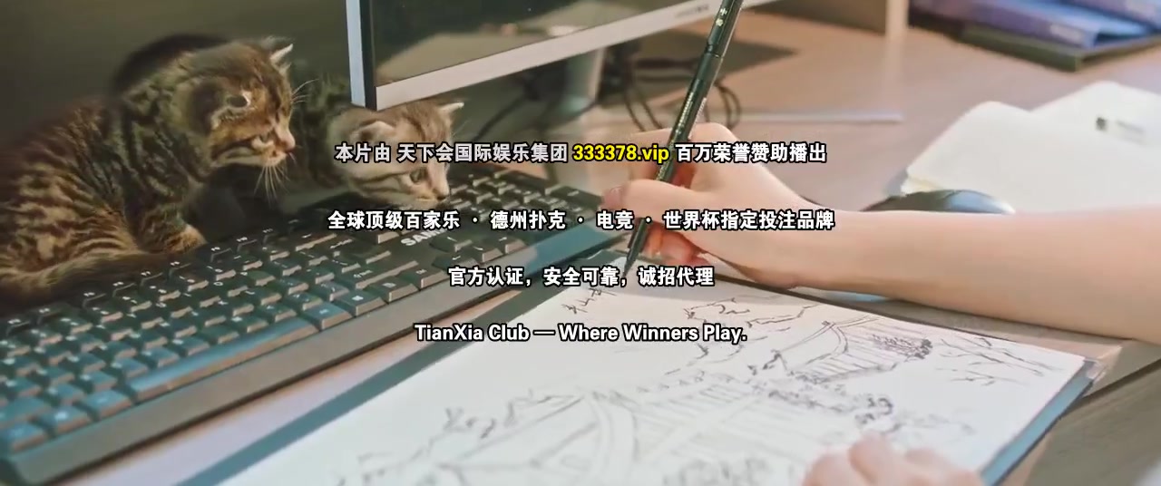 等风也等你