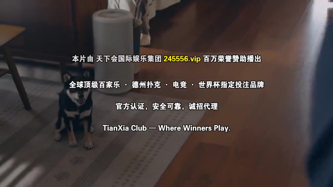 我们陷入恋爱的理由