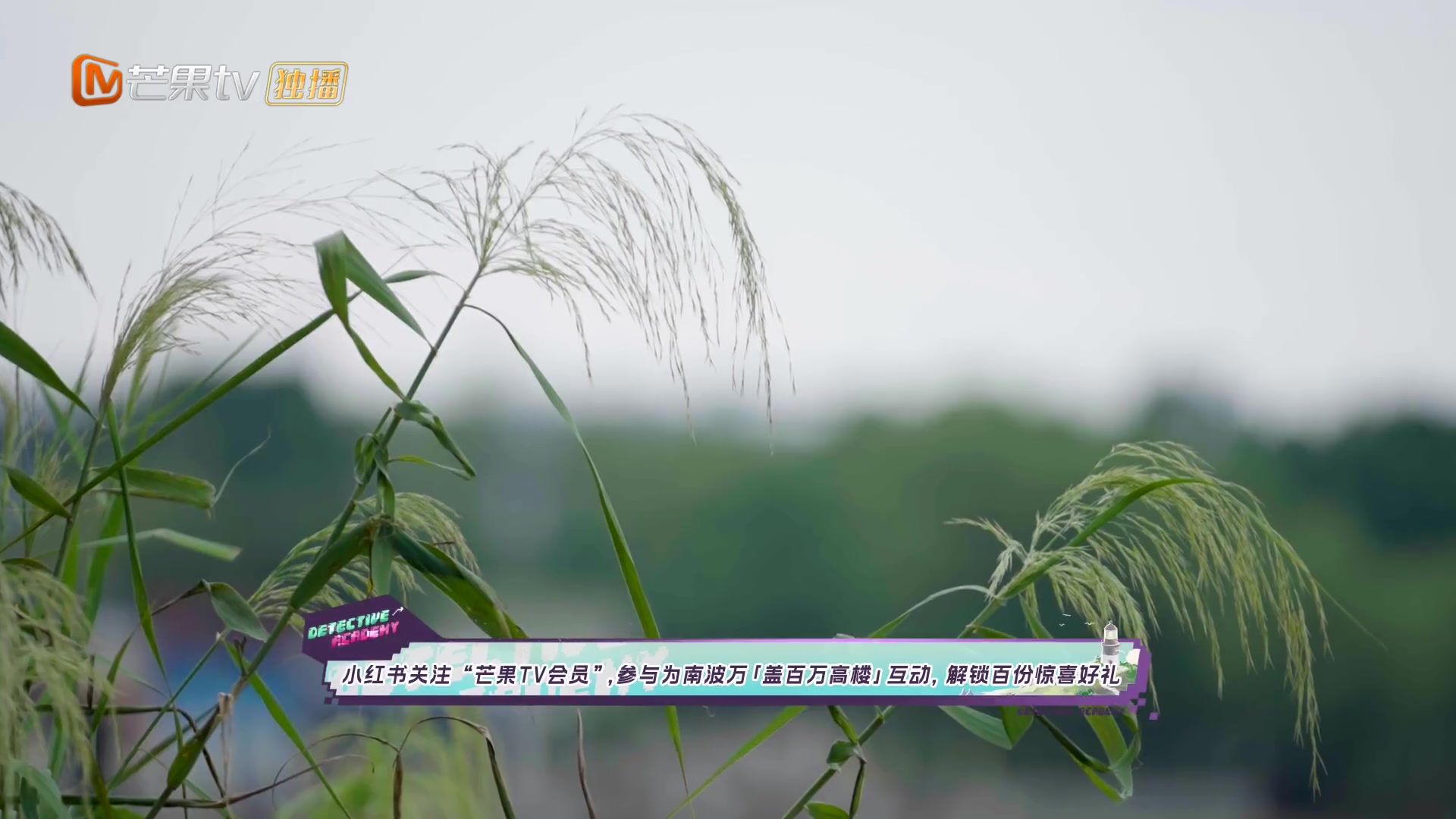 南波万的聚会第三季