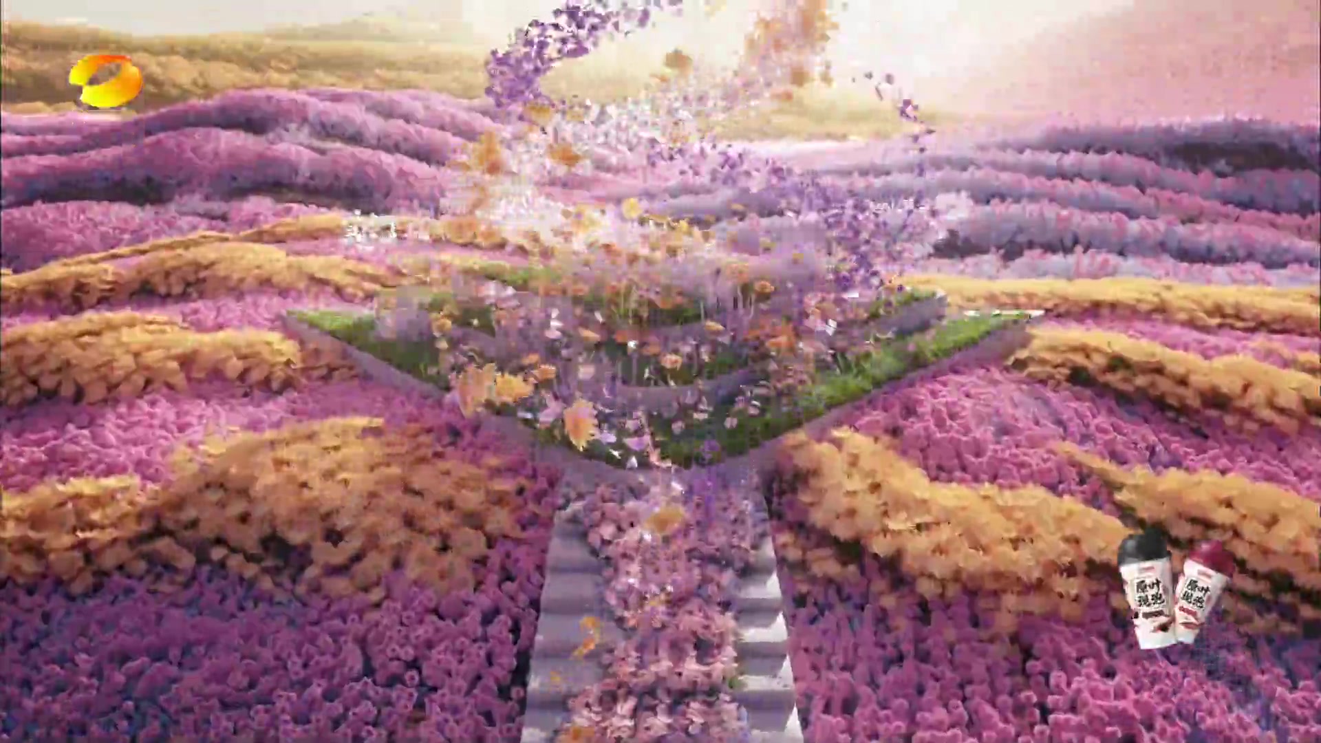 花儿绽放
