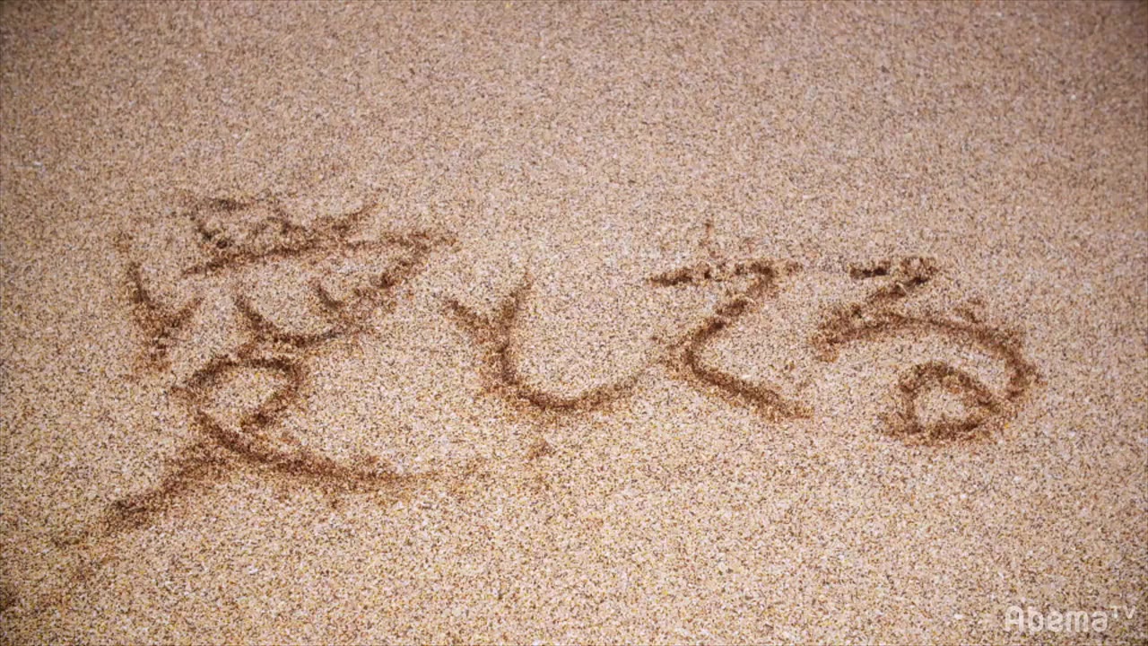 夺爱之夏