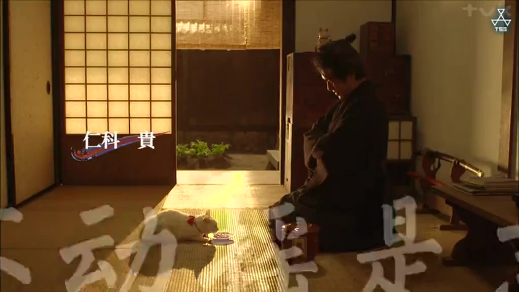 猫侍 第二季
