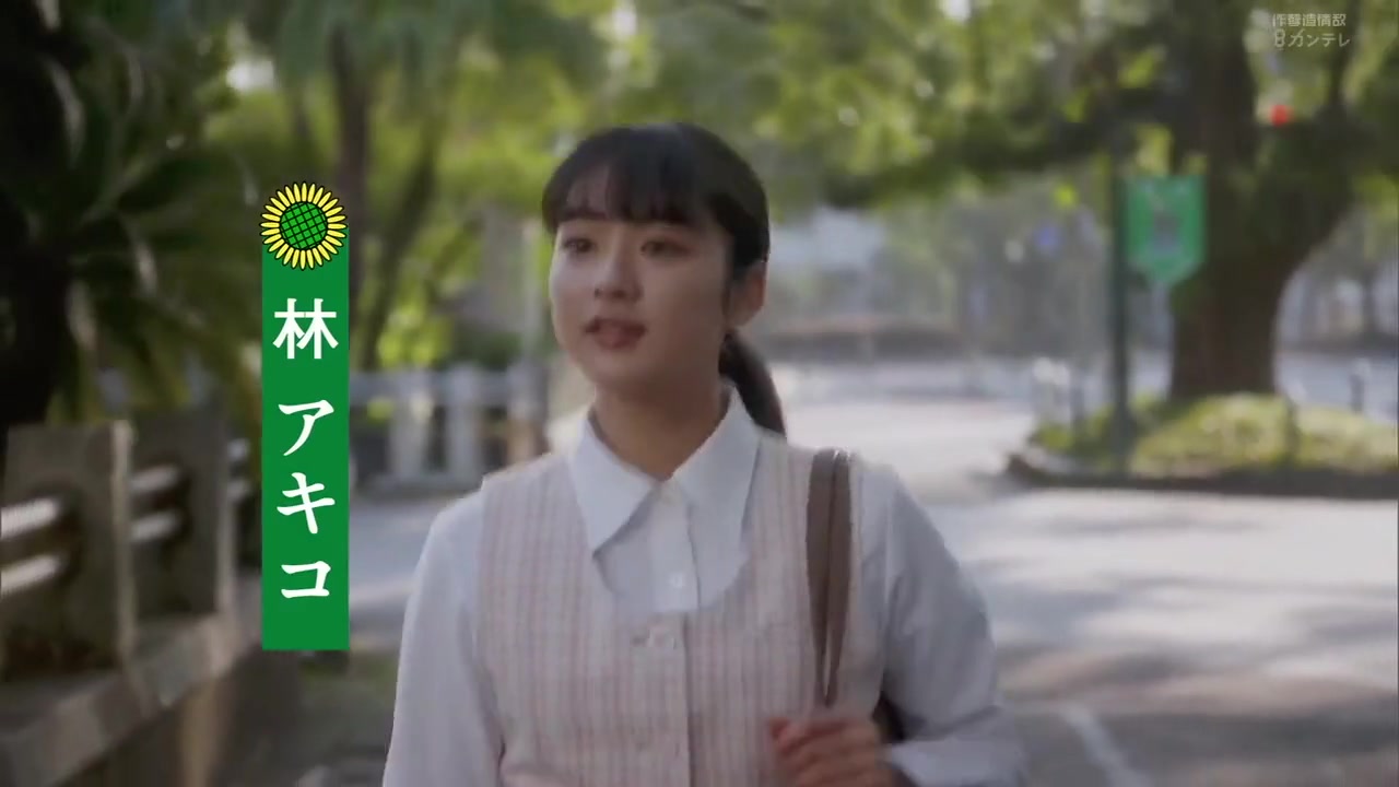 向日葵:宫崎传奇