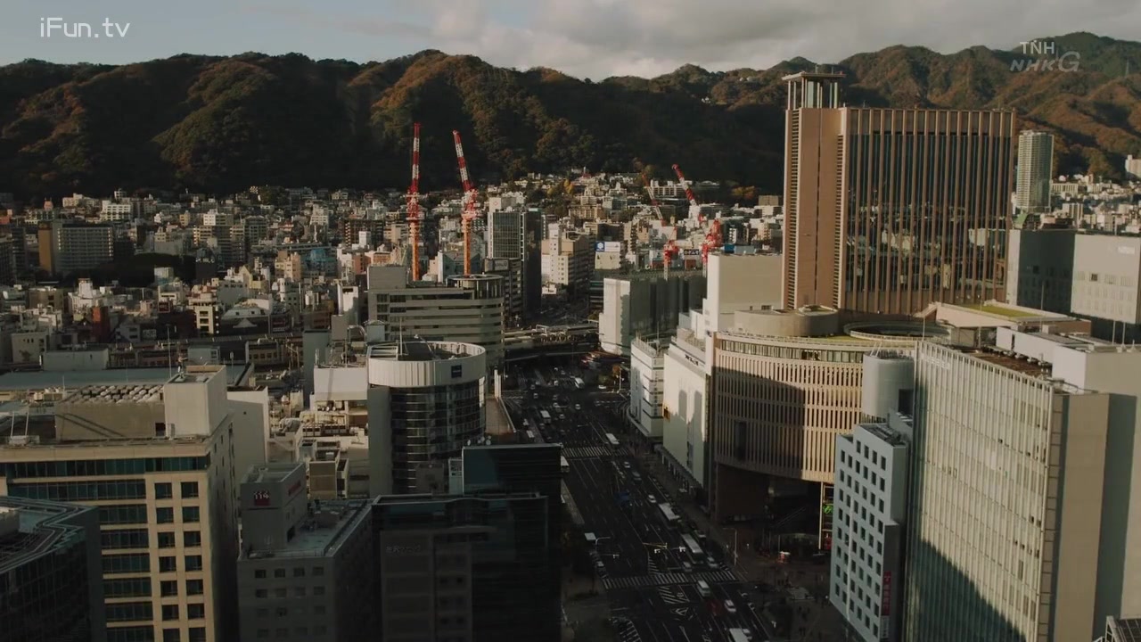 疗愈心中的伤口