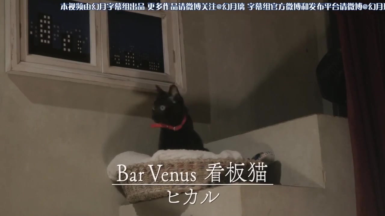 安全维纳斯